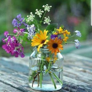 Meet your Posher, Teri